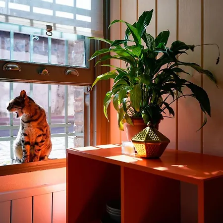 Apartman Balat Butik *
