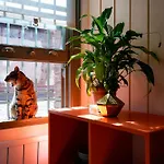 Apartament Balat Boutique *