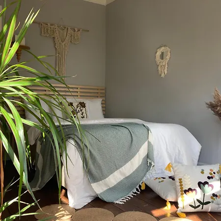 Apartment Balat Butik