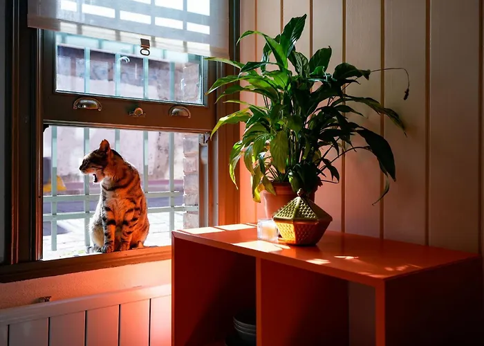 Appartement Balat Boutique Historic House Near Golden Horn *